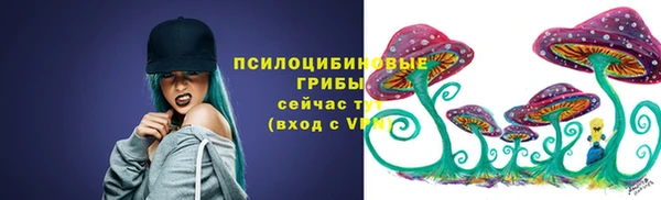 тгк Абинск