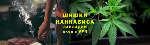 шишки Алзамай