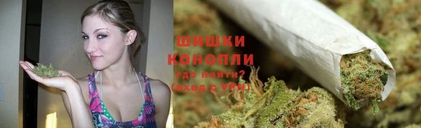 шишки Алексин