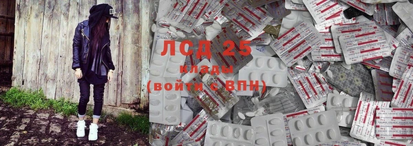 шишки Алзамай