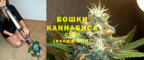 шишки Алексин