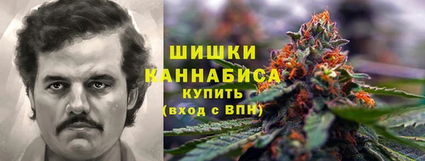 шишки Алзамай