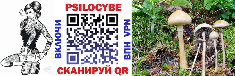 Галлюциногенные грибы Psilocybe  Инсар 